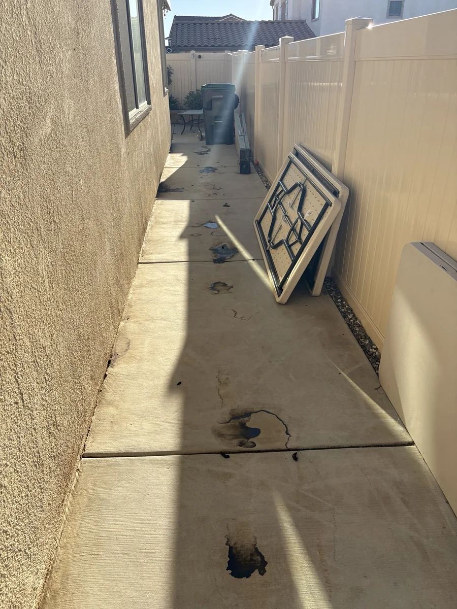 Concrete side yard before cleanup