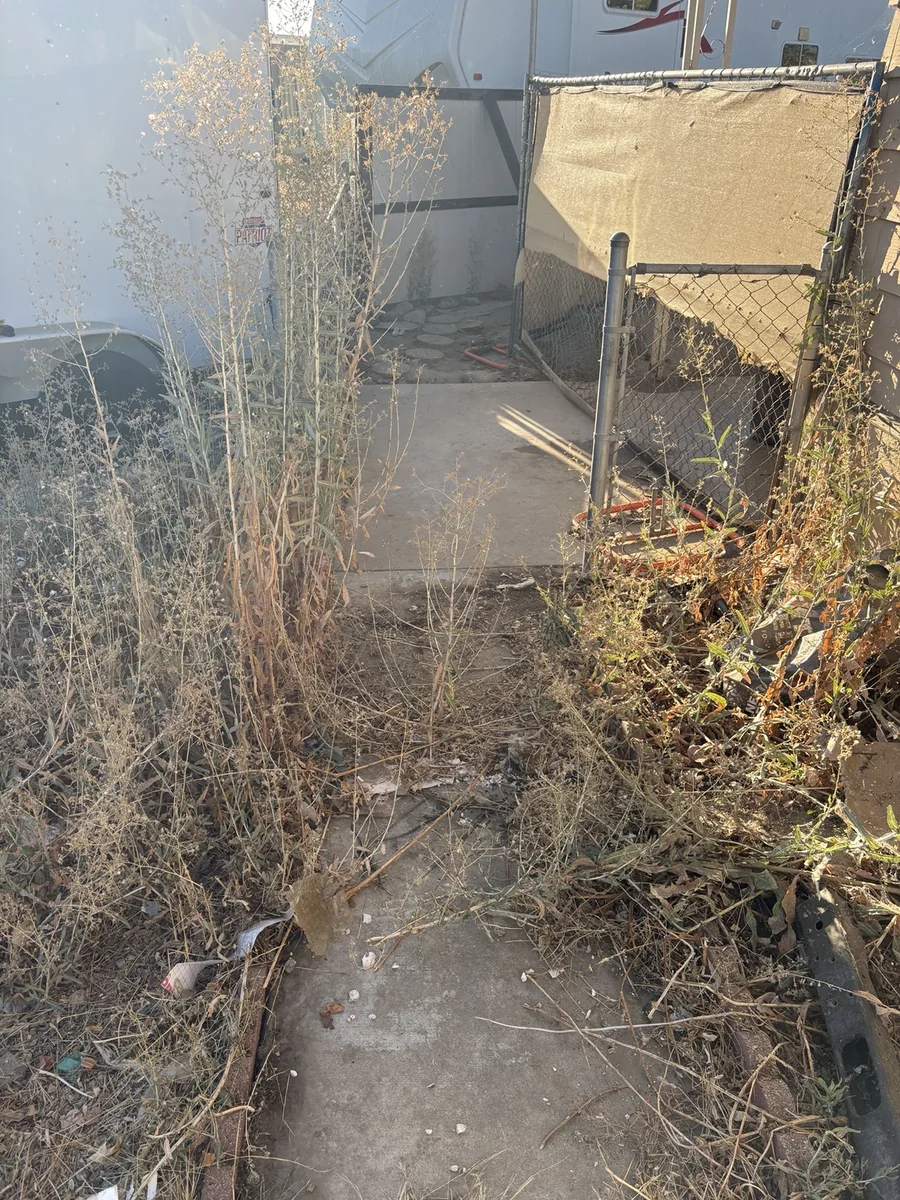Overgrown walkway before Doggy Duties cleanup